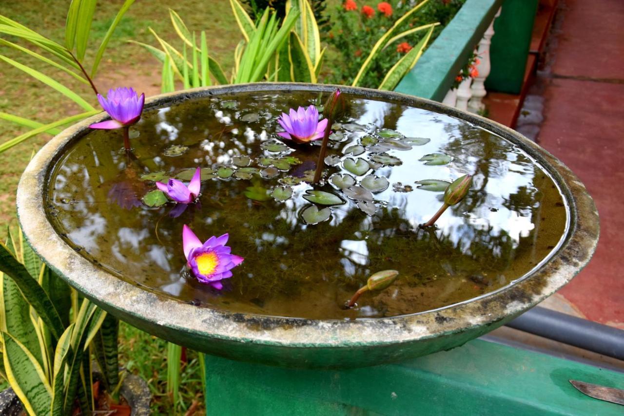 S P City Resort Anuradhapura Kültér fotó