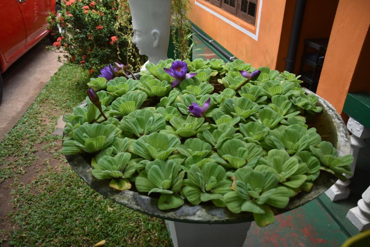 S P City Resort Anuradhapura Kültér fotó